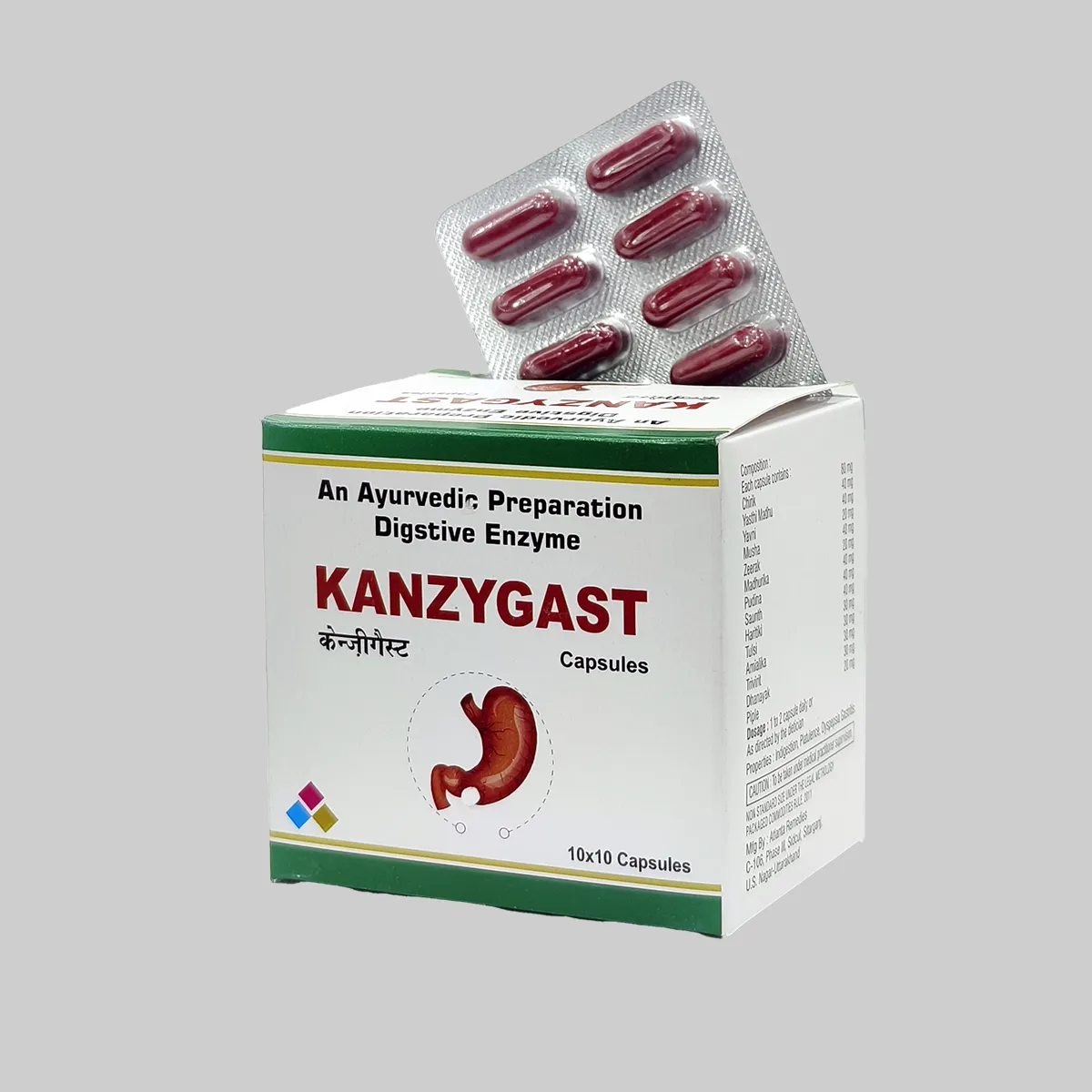 Kanzygast Ayurvedic Digestive Care Capsules Box of 10×10